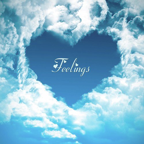 Feelings