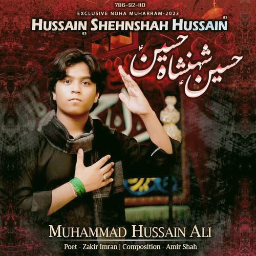 Hussain Shehnshah Hussain