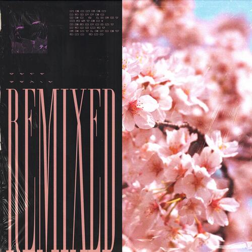 Once again - BearPoint! Remix (BearPoint! Remix) cover art