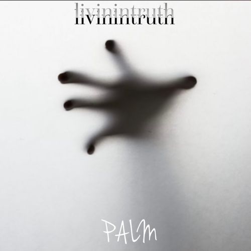PALM cover art