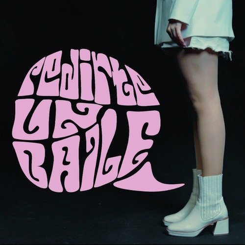 Pedirte un Baile cover art