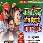 Power Star Tohara Didi Ke Bhatar Have