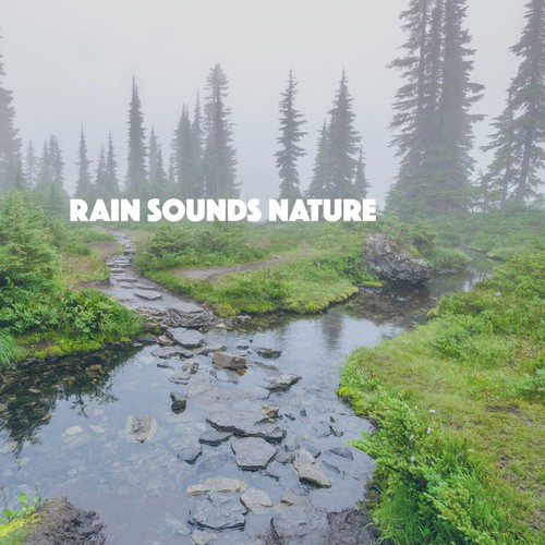 Rain Sound: Water Skies