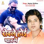 Rovale Hoee Pyaar Mein