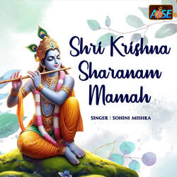 Shri Krishna Sharanam Mamah-QlkKci5kR0A