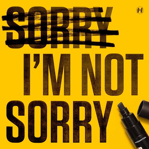 Sorry I&#039;m Not Sorry_poster_image