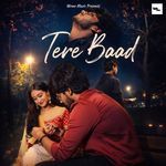 Tere Baad