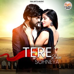 Tere Bin Sohneya-EhANABJbBWE