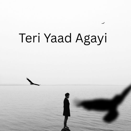 Teri Yaad Agayi