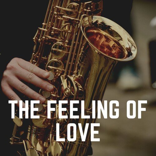 Jazz for Cats cover art