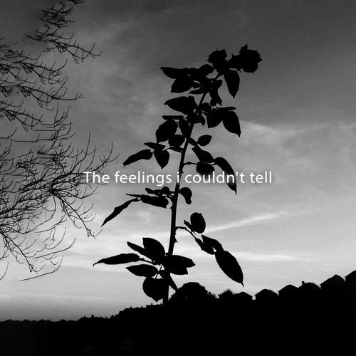 The Fellings I Couldn't Tell_poster_image