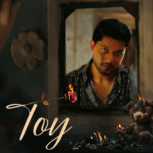 Toy cover art