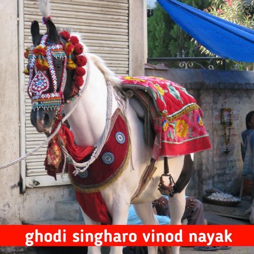 ghodi singharo vinod nayak