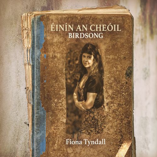 Beidh Ríl Againn (feat. Marie Egan, James Blennerhassett & Brendan Hayes) cover art