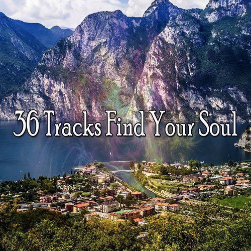 36 Tracks Find Your Soul