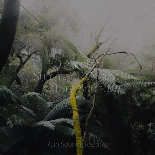 50 Ambient Summer Rain and Nature Sounds