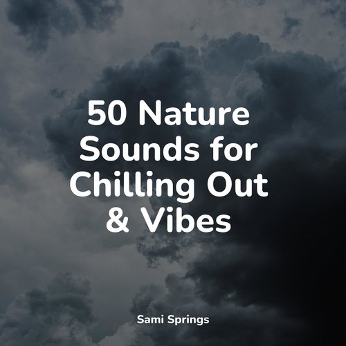 50 Nature Sounds for Chilling Out &amp; Vibes_poster_image