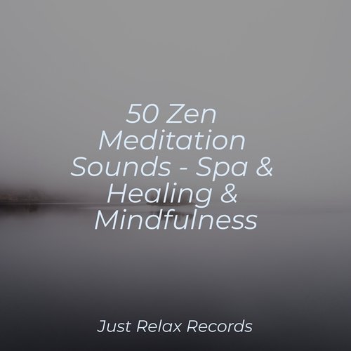 50 Zen Meditation Sounds - Spa & Healing & Mindfulness