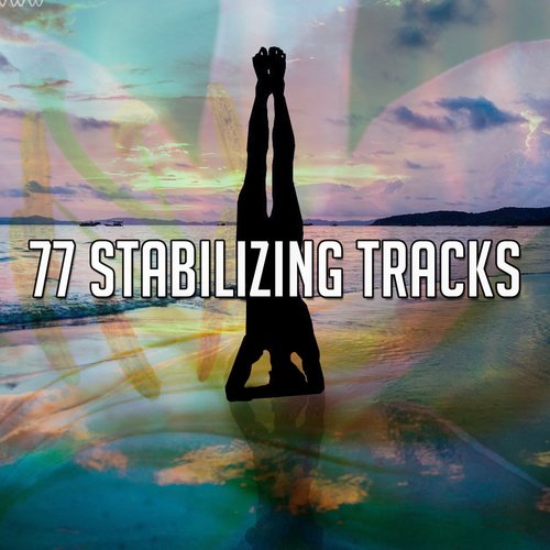 77 Stabilizing Tracks