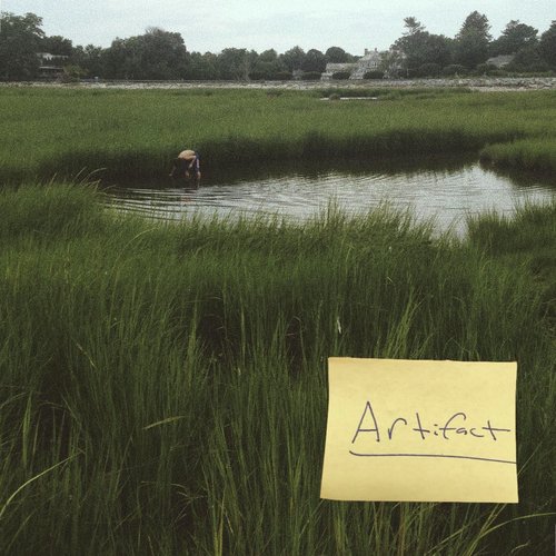 The Pace cover art