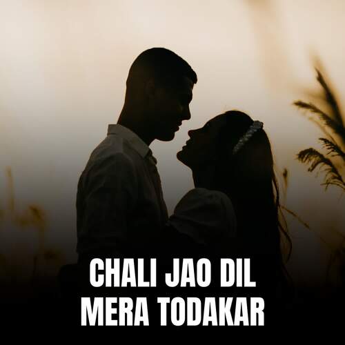 CHALI JAO DIL MERA TODAKAR