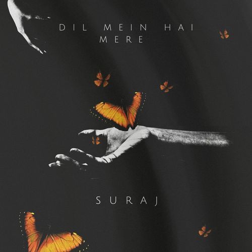 Dil Mein Hai Mere