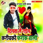 Dilwa le gail kariyaki farak wali