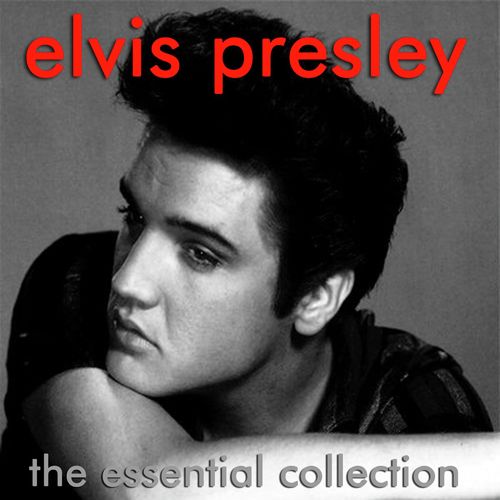 Trouble (King Creole ) Lyrics - Elvis Presley - Only on JioSaavn