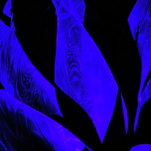 Finding Your Tomorrow