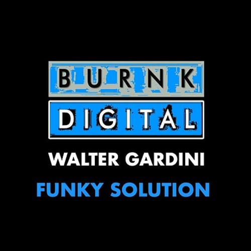 Funky Solution (Original Mix)