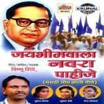 Jay Bhimwala Navara Pahije