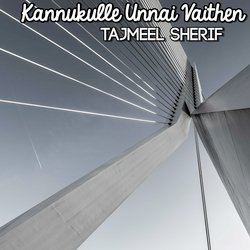Kannukulle Unnai Vaithen