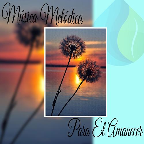 Guitarra Tranquila cover art