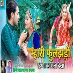 Mhari Fuljhadi Diggi Ko Melo Dekha