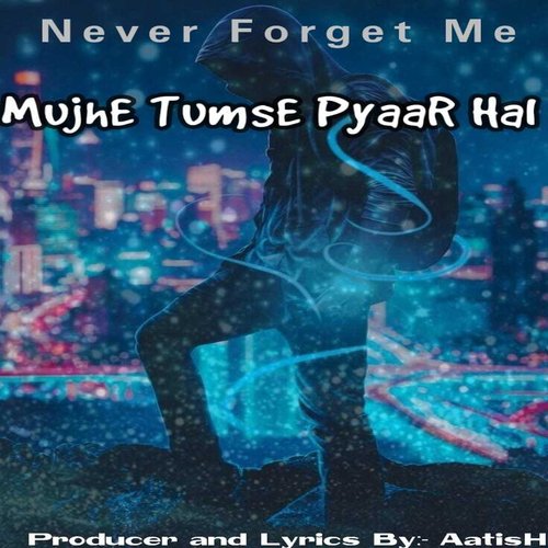 Mujhe Tumse Pyaar Hai Never Forget Me