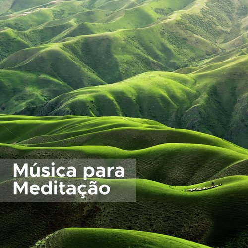 Paz Interior cover art