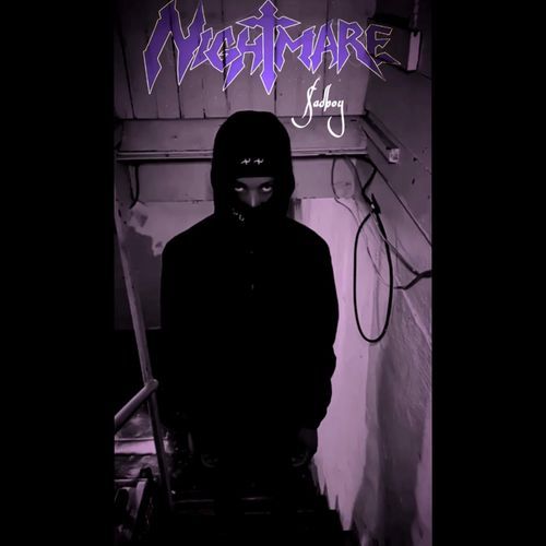 P L A N cover art