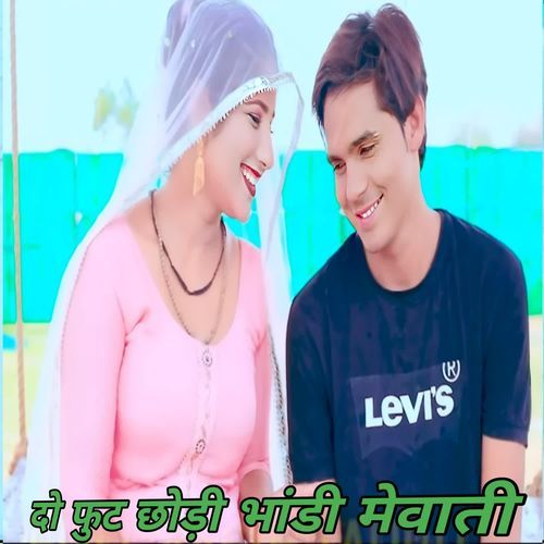 दो फुट छोड़ी भांडी मेवाती