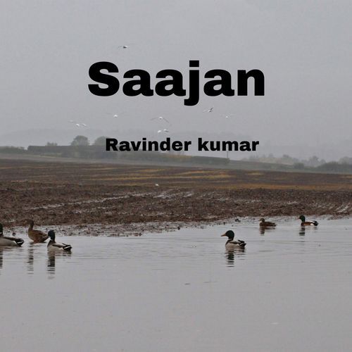 Saajan