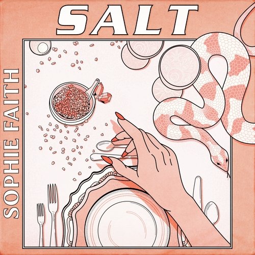 Salt_poster_image