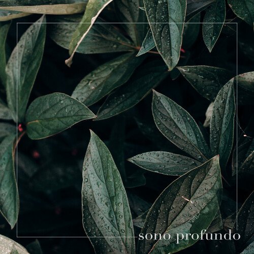 Sono profundo cover art