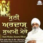 Suni Ardas Swami Mere