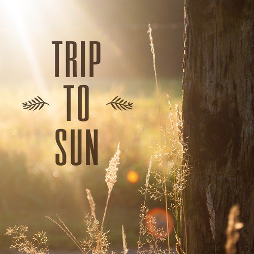 To the Beach cover art