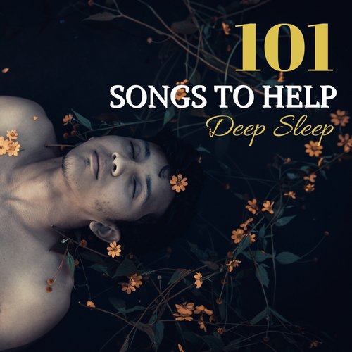 Sleep Lab - Chakra Meditation Balancing (Body, Mind and Soul)