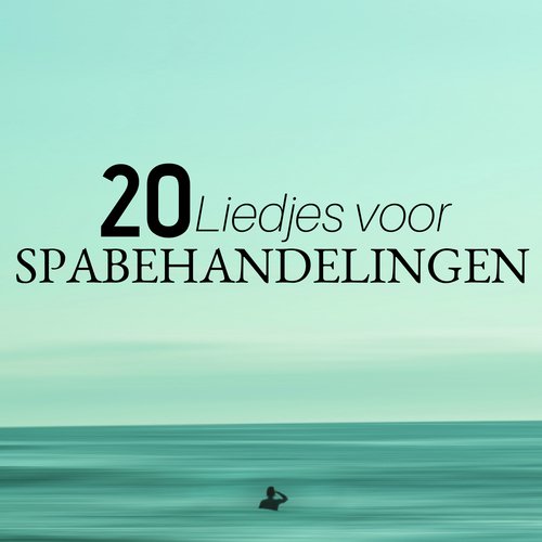 Slaap Muziek cover art
