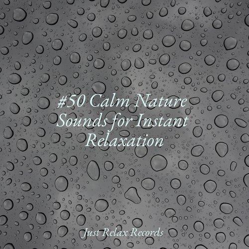 #50 Calm Nature Sounds for Instant Relaxation