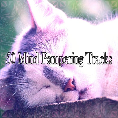 50 Mind Pampering Tracks