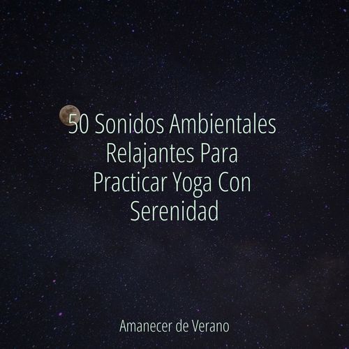 Nexo de Alimentación Melódica cover art