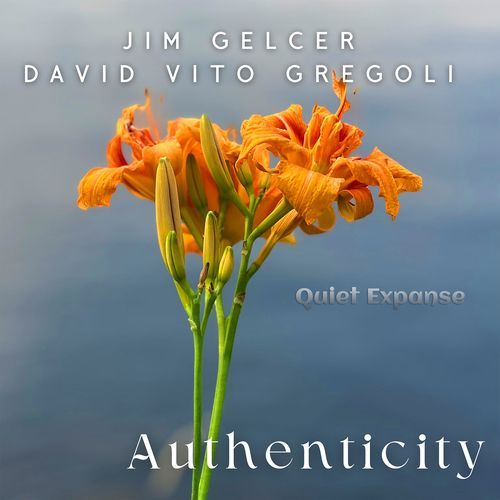 Authenticity cover art