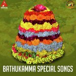 Shanaga Chenu Venaka Nunchi Danimmalo